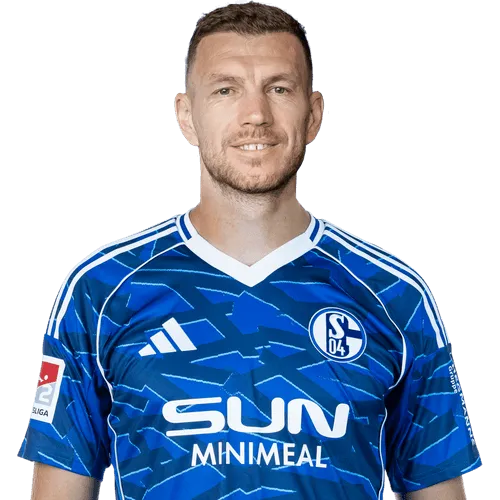 Edin Džeko